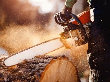 A chainsaw cutting through a tree log.